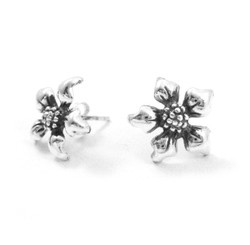 Sterling Silver Five Petals Solanaceae Flower Post Earrings