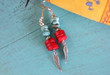 Red Bamboo and Turquoise Earrings