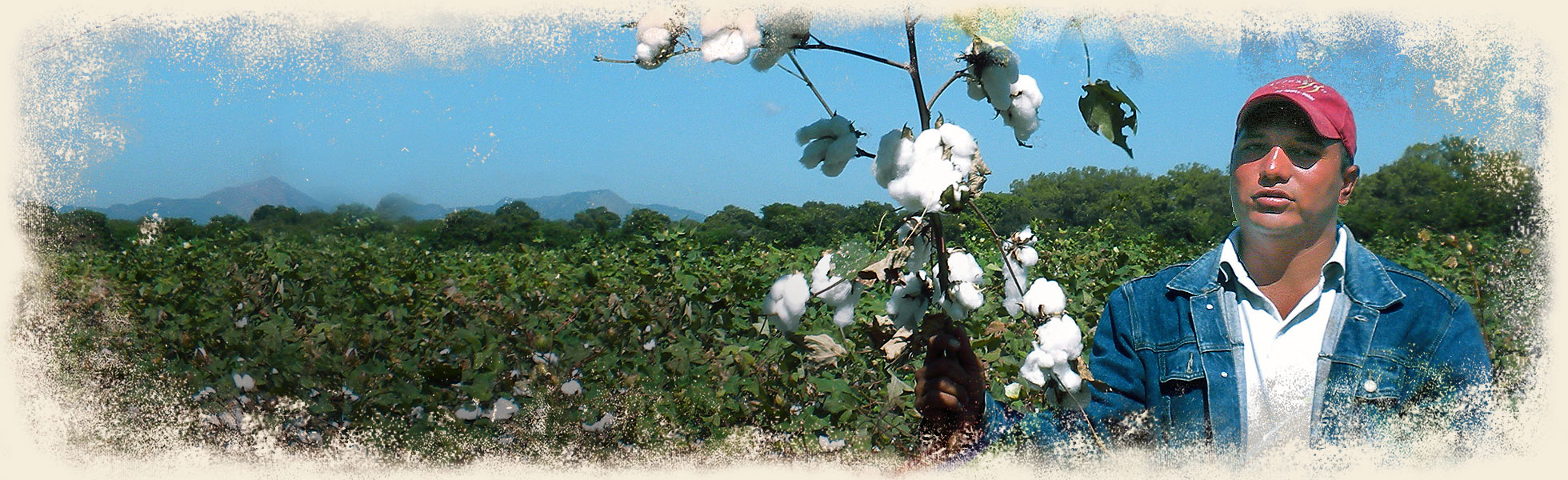 details-organic-cotton-maggies-ban2.jpg details-organic-cotton-maggies-ban2.jpg