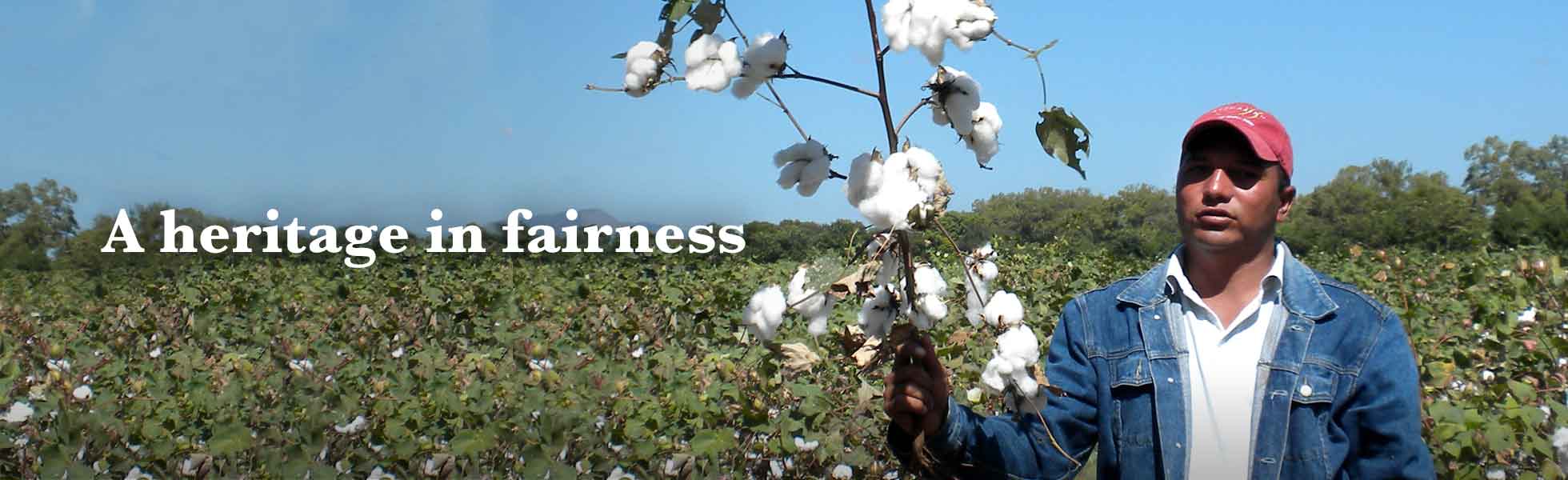 maggies-organics-heritage-process-2.jpg