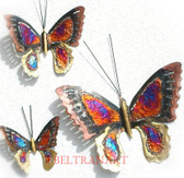 Butterfly-099