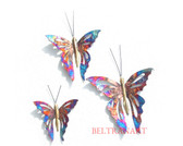 Butterfly-098
