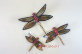 Dragonfly-155