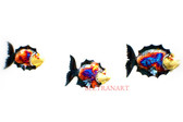 Fish-049