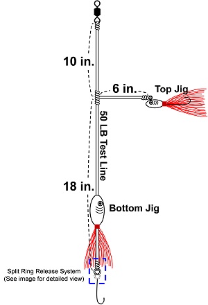 bot-exp-2-jig-rig-diagram-2-jpg.jpg