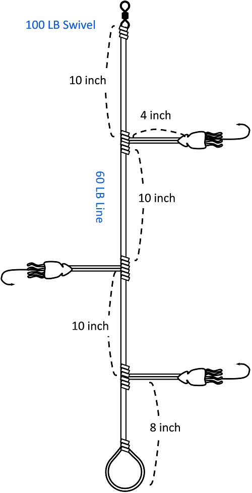Black Sea Bass Rigs - Offshore Jumbo Black Sea Bass Rig - Peace Token