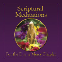 Scriptural Meditations