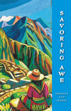 A Companion for the Spiritually Adventurous on noticing and the savoring awe.
