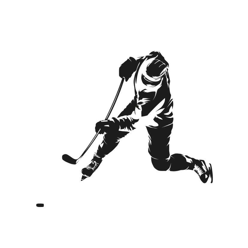 What Is A Kick Point On A Hockey Stick? Pro Stock Hockey