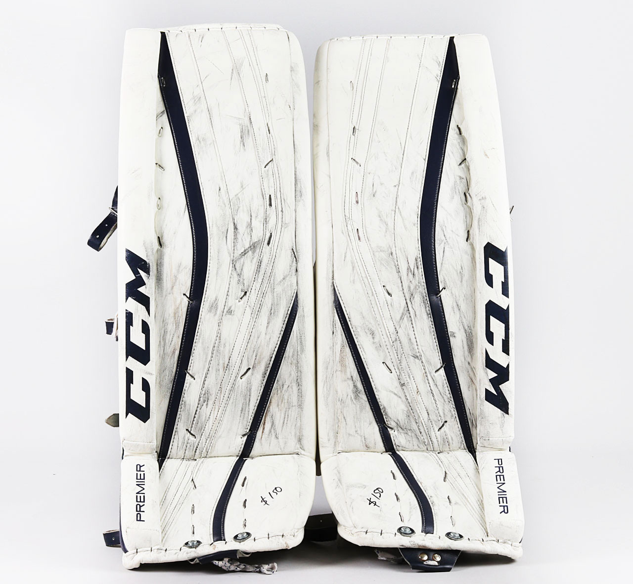 predators white