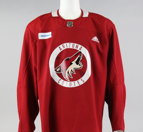 Nhl Practice Jersey for sale