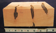 Ambrosia Maple - 8" x 8" x 3"