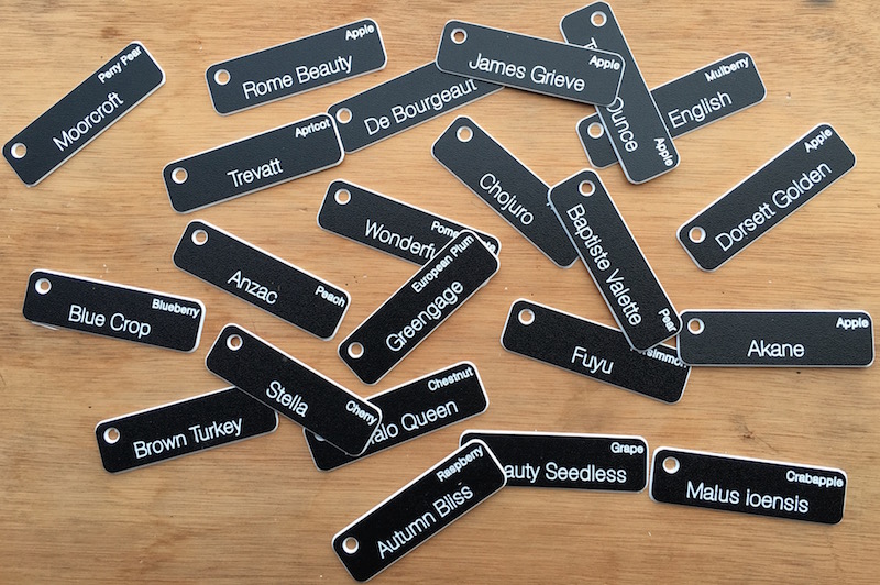 Adhesive Labels Near Me Adhesive Labels Near Me