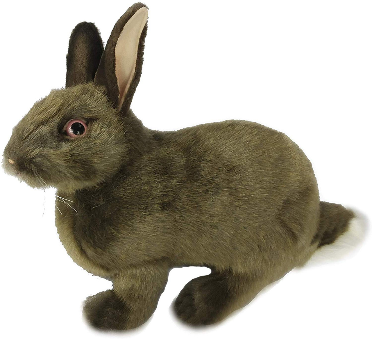 hansa bunny