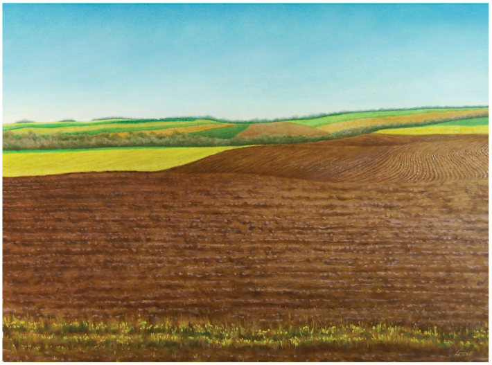 -158-recently-tilled-crop.jpg