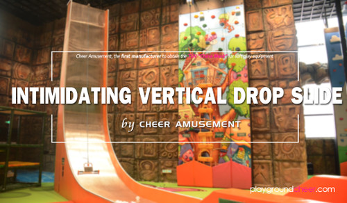 Intimidating Vertical Drop Slide by Cheer Amusement