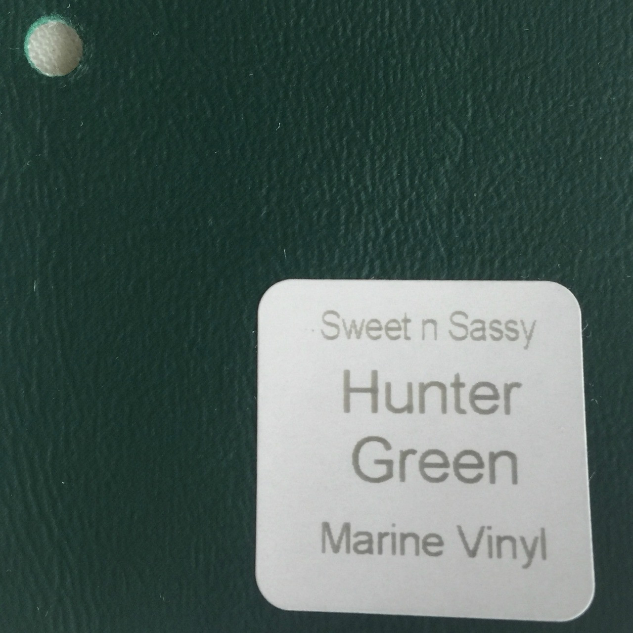 Sheet Hunter Green Marine Sweet n Sassy Blanks & Such