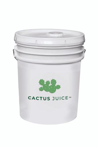 Pure Cactus Extract - Cactus Juice