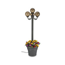 European Four Globe Park Style Planter Lamp with bronze globes and black lamp base finish