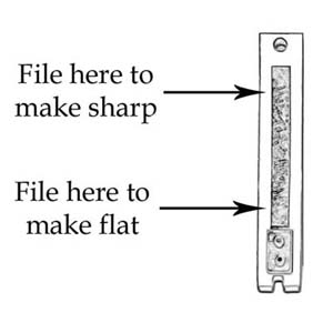Diagram of a harmonium reed showing the tongue and the base where it is riveted