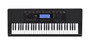 Casio Keyboard CTK-860IN (CASIO-860)