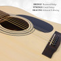 Berkeley Dreadnought OP Acoustic Guitar (BER-DREADHOT-OP)