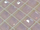 Swarovski Bead 5601 8mm Rose Water Opal (395)