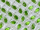 Swarovski Crystal Pendant 6007  9x5mm Peridot (214)