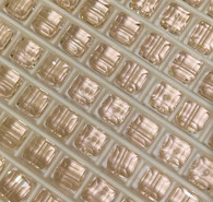 Swarovski Bead 5601 - 6mm, Silk (391), 6pcs