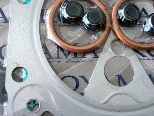 っっl 810300 | Gaskets for 250SX