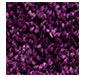 Purple XL