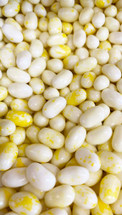Buttered Popcorn Jelly Beans 