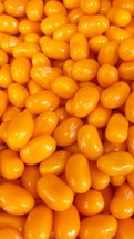 Orange Sherbet Jelly Beans 