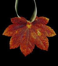 Full Moon Maple Leaf Ornament