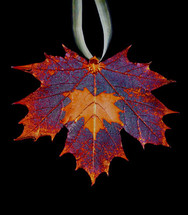 Maple on Maple Leaf Ornament