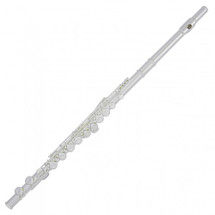Trevor James Student Flute