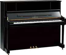 Polished Ebony $6995.00