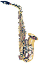 Fontaine Student Alto Saxophone 