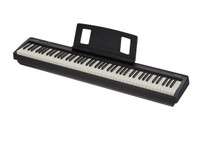 Roland FP10 Digital Portable Piano 