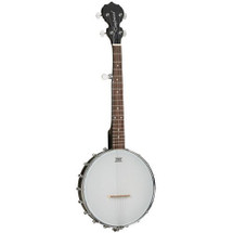 Tanglewood Traveller Banjo 