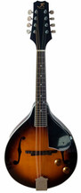 JR Reynolds Mandolin Acoustic/Electric f Hole Style 