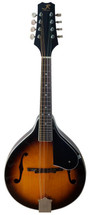JR Reynolds Mandolin Acoustic F Hole Style - SOLID TOP