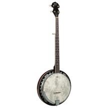 Barnes and Mullin BJ300-P Perfect 5 String Banjo