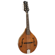 Barnes and Mullin BM600 Wimbourne Mandolin 
