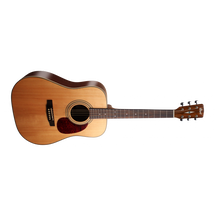 CORT EARTH Acoustic Guitar Pack - Open Pore 
