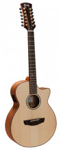Faith Trembisi 12 String Acoustic Electric Guitar in HARDCASE 