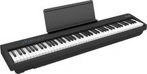 Roland FP30X Digital Piano - Black / White