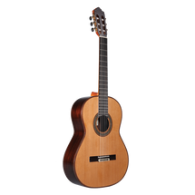 Altamira N600 Intermediate Level Solid Top/Solid Back and Sides in Case