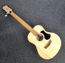 Pratley - Made in Australia - SLS-1e Stage Acoustic Electric Guitar in Gig Bag