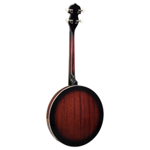 Barnes & Mullins 'Perfect' 4-String Gaelic Tenor Banjo